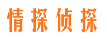 天长侦探公司